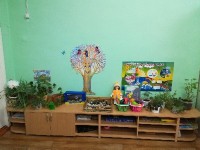 �����������